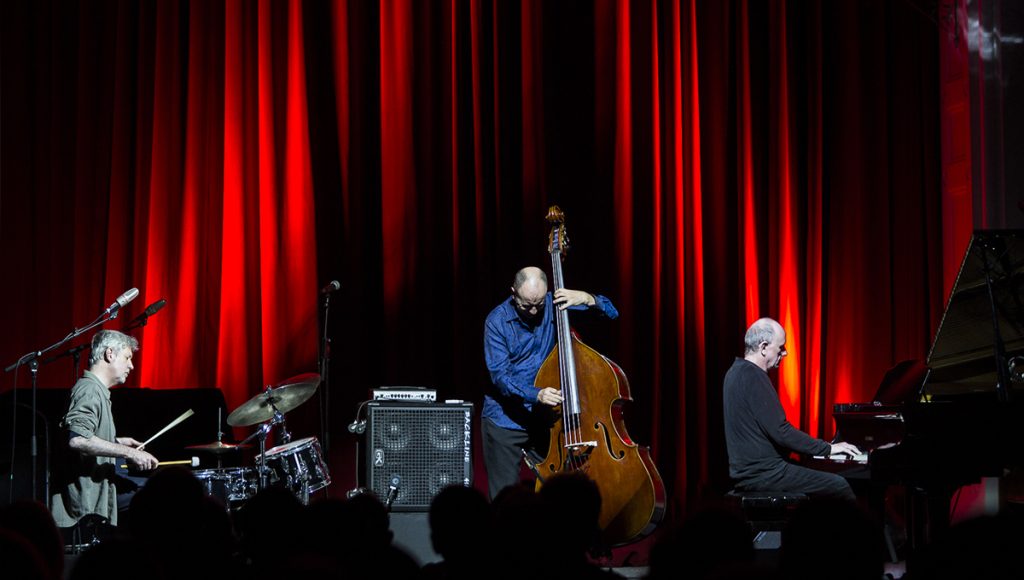 The Necks by Alan Murphy