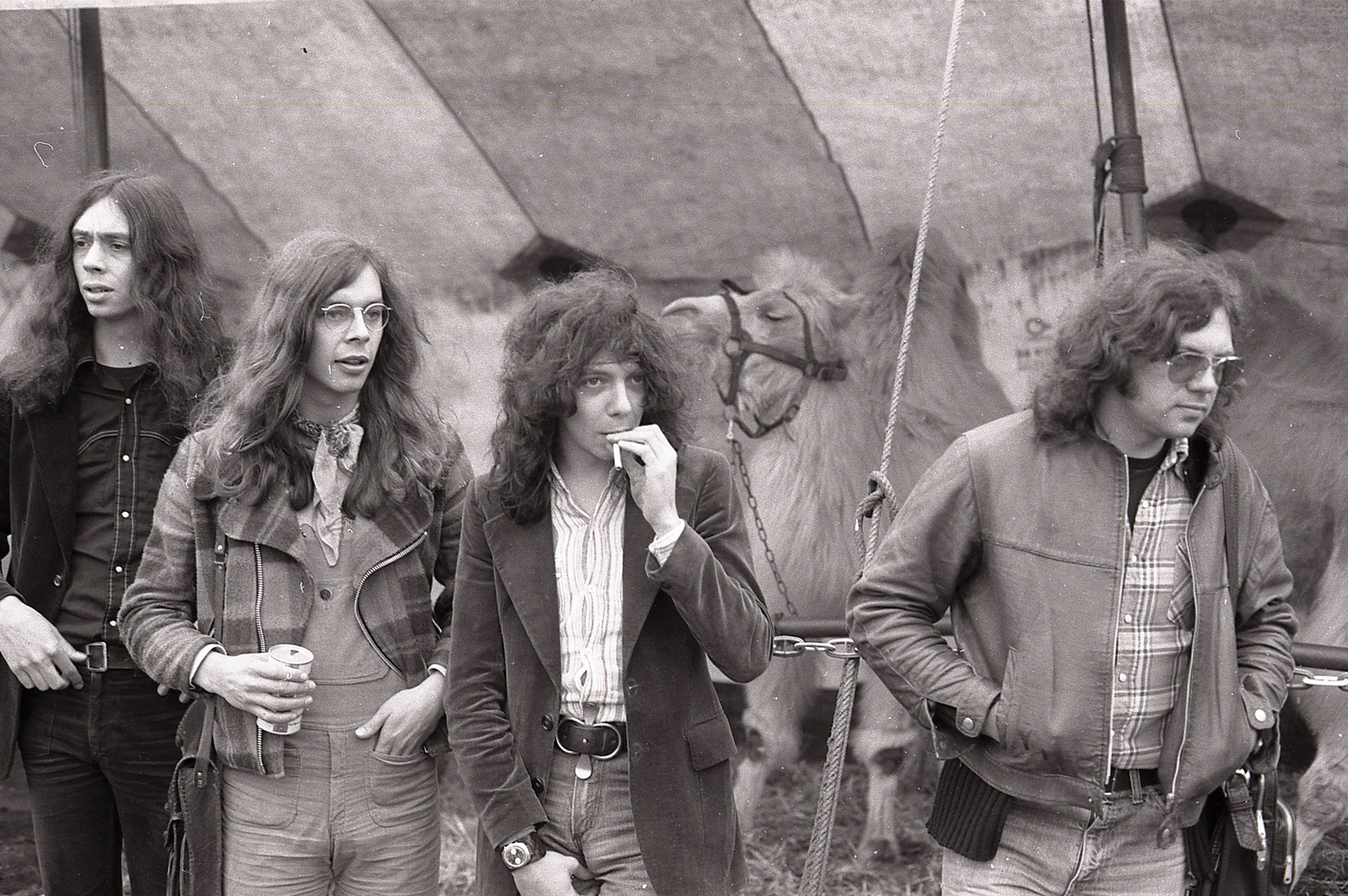 Andrew latimer & Camel