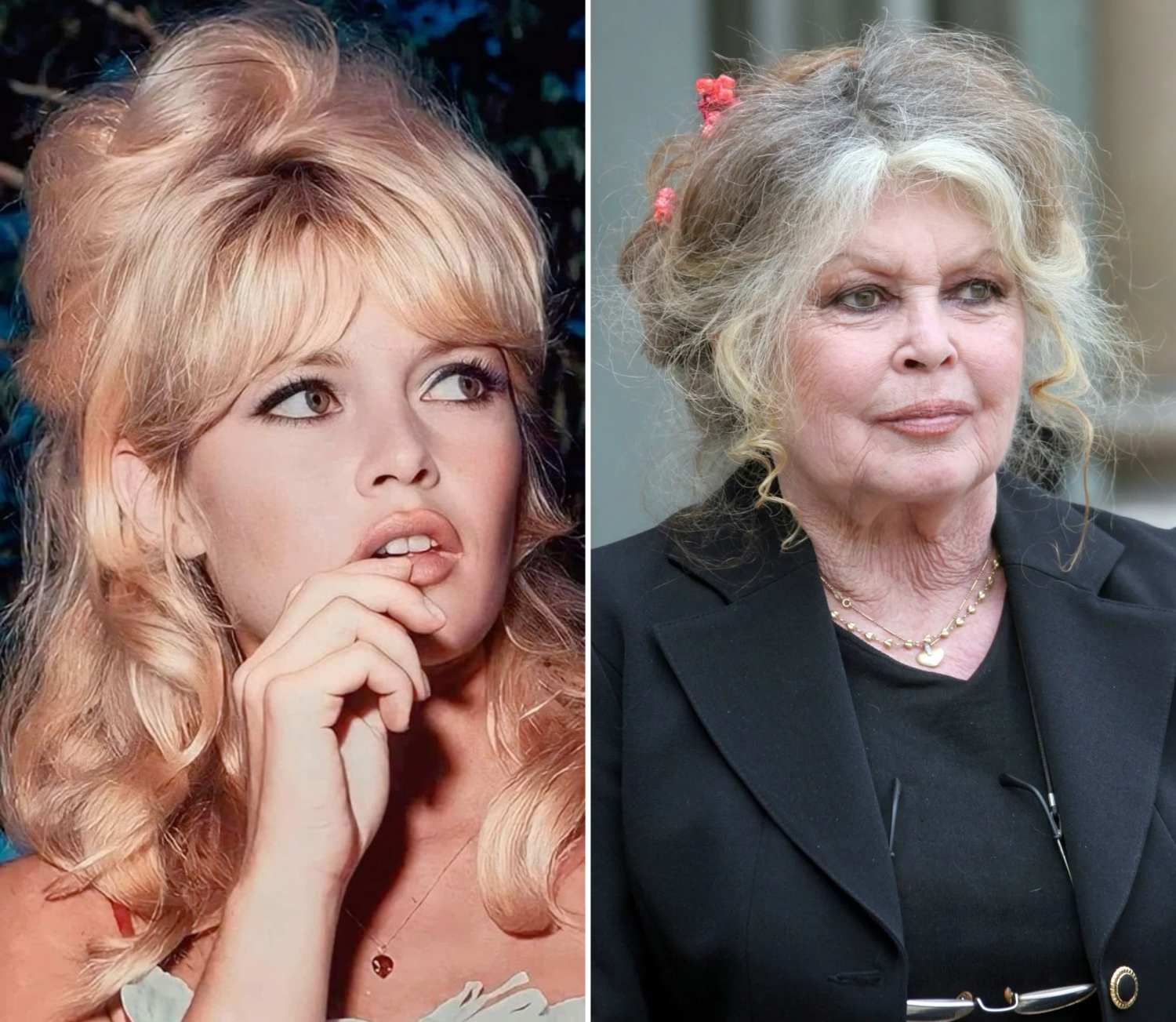 Brigitte Bardot